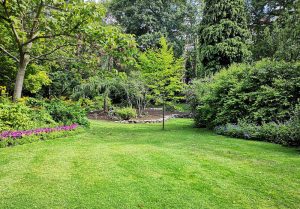 Optimiser l'expérience du jardin à Broussey-Raulecourt